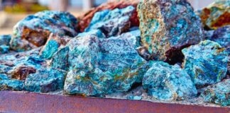 Chile busca convertirse en segundo país en producción de oro azul