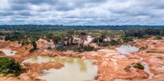 Minería ilegal de oro el gran cáncer del Perú