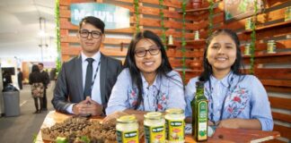 Más de 130 mil nuevos emprendimientos en Perú impulsan la economía, pero la burocracia frena su avance