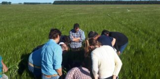 ¿Por qué las capacitaciones son esenciales en la industria agrícola? Syngenta te explica