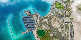 El Puerto de Chancay y sus beneficios ambientales