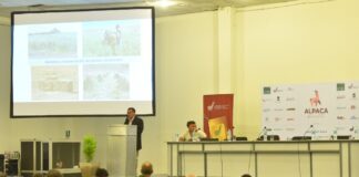Alpaca Fiesta 2024 se prepara para recibir más de 5,000 asistentes en su octava edición