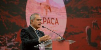 El 85% de las alpacas se encuentra en manos de pequeños productores dispersos