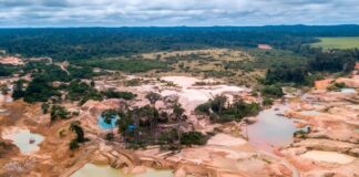 PCM: Treinta y seis comunidades de la Amazonía son amenazadas por la minería ilegal
