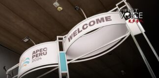 De China a América Latina: ¿Qué podemos esperar de APEC y G20?