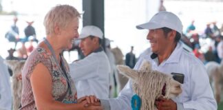 Arequipa se vistió de alpaca en la octava edición