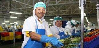 Empleos asociados a las exportaciones crecieron 26.1%