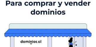Nace el primer market place de dominios en Chile