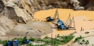 Minería ilegal opera en 18 áreas nacionales protegidas de 12 regiones del país