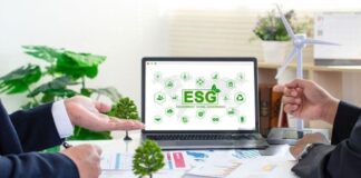 5 elementos clave para implementar con éxito estrategias sostenibles en las empresas