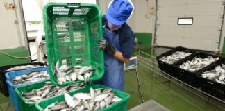 Industria cerró tercer trimestre del año con crecimiento del 5,4%