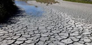 Crisis hídrica e inacción del Gobierno afectan gravemente al sector agropecuario