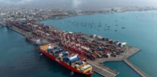 DP World Callao recibe al Kota Pemimpin, el portacontenedores más grande de PIL