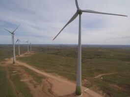 Pluspetrol adquiere su primer activo renovable en Uruguay