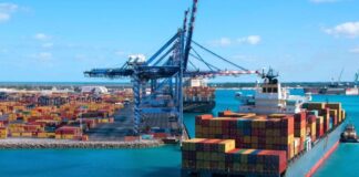 Alto crecimiento de exportaciones no tradicionales y tradicionales en octubre 2024