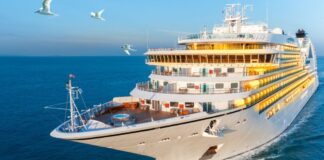 ¿El Megapuerto de Chancay podría recibir cruceros turísticos?