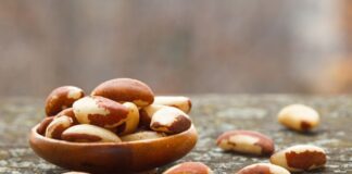 Perú es el tercer mayor exportador de castaña en el mundo