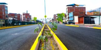 Luego de 20 años se inauguró Vía Expresa Cusco