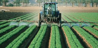 Actividad agropecuaría creció 3,2% en enero