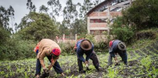 Profonanpe: Destinarán más de S/4 millones a iniciativas altoandinas sobre los 3,500 metros que impulsen la adaptación al cambio climático en 12 distritos de Arequipa