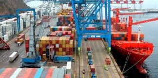 Envíos peruanos a China lograron récord histórico en el 2024
