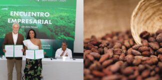 Impulsarán despachos al exterior de la región San Martín