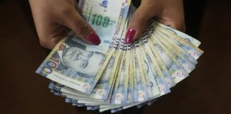 Utilidades 2025: ¿Cómo hacer crecer tu dinero y garantizar tu futuro con seguros de inversión?