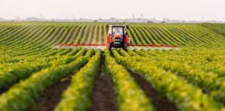 La actividad agropecuaria creció 7,5% en diciembre de 2024
