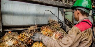 186 mil millones en créditos asociativos: una de las apuestas del Banco Agrario en Sembrando Vida