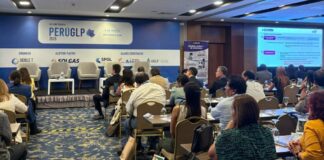 Crisis energética en Perú: 3.6 millones de hogares sin acceso al GLP