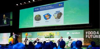 AI and Automation: The Technological Revolution to Improve Efficiency and Reduce Costs in the food industry
