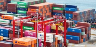 Términos de intercambio crecieron 14,5% en febrero de 2025