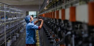 El impacto de los aranceles impuesto por Donald Trump en la economía peruana