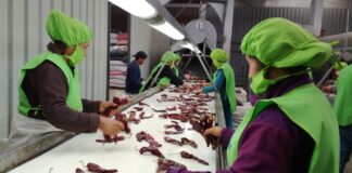 Envíos regionales sumaron US$ 10 mil 298 millones