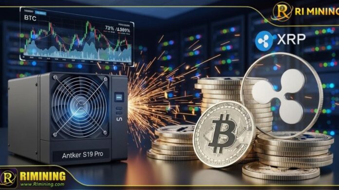 Copia de Imagen.jpg - 2025-08-25T120720.297