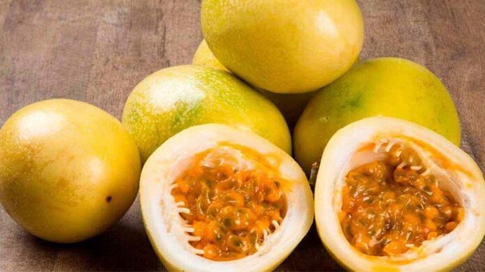 Diseño sin título (1)