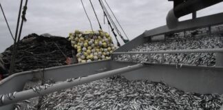 Exportaciones no tradicionales pesqueras y agropecuarias crecieron en junio