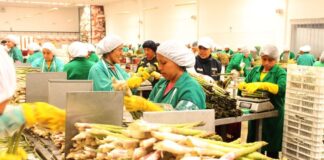¿Nueva Ley Agraria beneficiará la agricultura familiar?