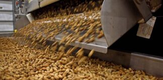 El producto que desplazó al vino y al acero: Argentina lidera ranking global y bate récord de exportación