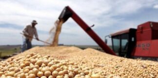 Sudamérica marca récord en soja y presiona los precios globales