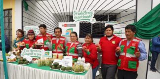 MIDAGRI: Cañete se integra a la red de Agromercado para fortalecer la articulación comercial de pequeños productores con el mercado