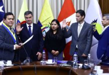 Luis Galarreta elegido nuevo Vicepresidente del Parlamento Andino por Perú