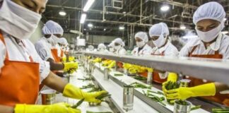 Las exportaciones generaron empleo a más de 1,4 millones de peruanos