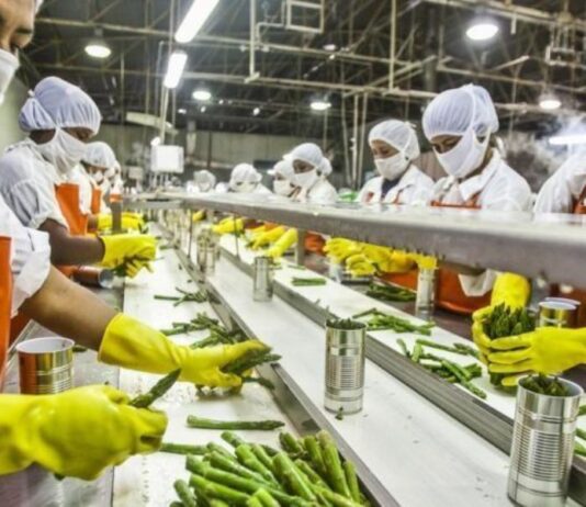Las exportaciones generaron empleo a más de 1,4 millones de peruanos