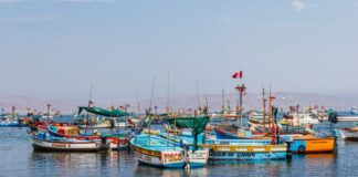 Pesca ilegal amenaza el futuro económico, social y ambiental del litoral peruano, advierte ONG Oannes