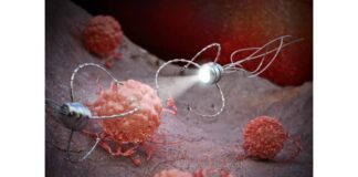 Nanorobots para la administración dirigida de fármacos