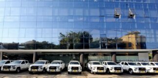 ¿Próximo a elegir vehículos para tu flota corporativa? Prioriza seguridad y mantenimiento