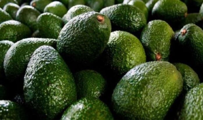 _Economia_Web - 2025-09-14T124559.104