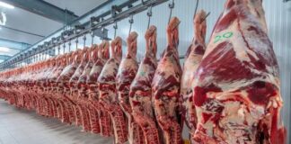 Brasil reubica exportaciones de carne vacuna tras arancel de EE. UU.