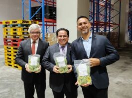 Palta peruana congelada marca un hito al ingresar al mercado chino